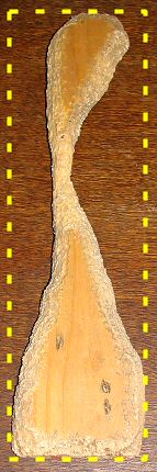 Sustainable destruction; the result of weeks of hard work for the gerbils who chewed this  plank into a sexy  shape of "Desert Rat Art"...
